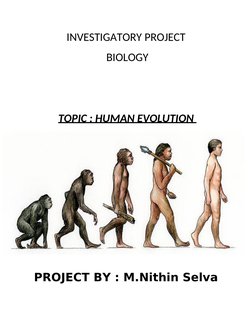 INVESTIGATORY PROJECT
 BIOLOGY
TOPIC : HUMAN EVOLUTION 
PROJECT BY : M.Nithin Selva 
