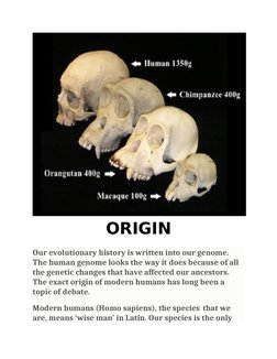 ORIGIN
Our evolutionary history is written into our genome. 
The human genome looks the way it does because of all 
the genet