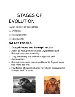 STAGES OF 
EVOLUTION
MAINLY CONSISTS OF THREE STAGES : 
[A] APE FOSSILS
[B] PRE-HISTORIC MAN
[C] MODERN MAN
[A] APE FOS