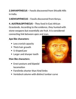 2.SHIVAPITHECUS – Fossils discovered from Shivalik Hills 
in India.
3.KENYAPITHECUS – Fossils discovered from Kenya.
4. AUSTR
