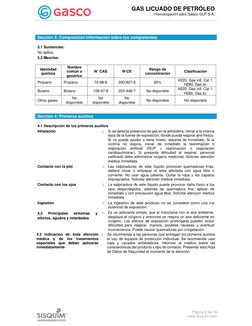 GAS LICUADO DE PETRÓLEO 
Homologación para Gasco GLP S.A. 
 
 
 
 
 
Página 2 de 10 
www.sisquim.com 
 
 
3.1 Sustancias: