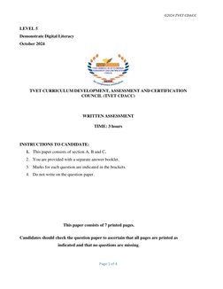 Level 5 Digital Literacy Exam Paper | PDF | Input/Output | Software