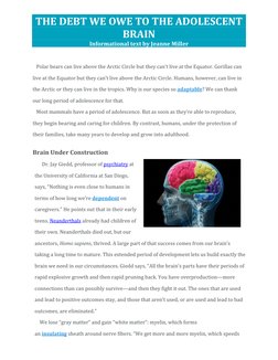 Understanding the Adolescent Brain | PDF | Adolescence | Human
