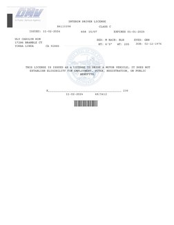 INTERIM DRIVER LICENSE  
CLASS C 
ISSUED: 11-02-2024 
658 15/07 
EXPIRES 01-01-2025 
SEX: M HAIR: BLN 
HT: 6’5” 
EYES: GRN 
U
