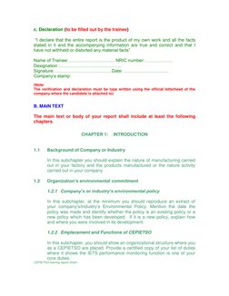 CEPIETSO Field Training Report Guide | PDF | Ellipsis | Typefaces