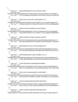 [
  {
    "address": "19zpdJNSW5pmcW5FsfAsjauFKKyhE7zWmc",
    "private_key": 
"8cb2e6f37d61de783a6668fc54fff265dfe04ef128149