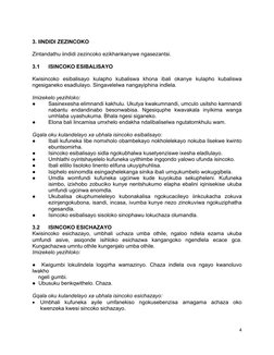 Izincoko Neeteksi Zonxibelelwano | PDF