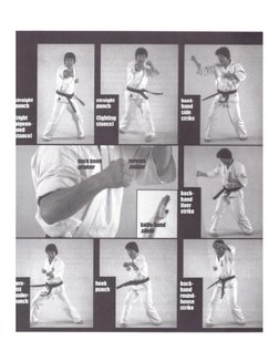 Sabaki Method Karate in The Inner Circle - Kancho Joko Ninomiya | PDF