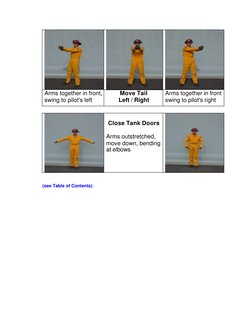 Arms together in front, 
swing to pilot's left 
Move Tail 
Left / Right 
Arms together in front 
swing to pilot's right