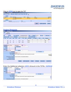 Amadeus Ticket Reissue Manual | PDF