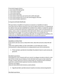 A nivel del triangulo inferior :  
1.-zona motora del dedo gordo  
2.- zona motora calcanea  
3.- zona motora patelar  
4.-zo