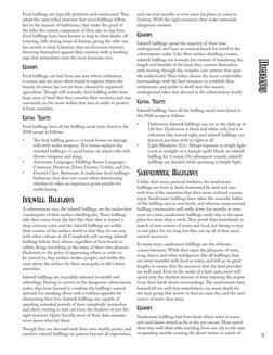 5
Halflings
Feral halflings are typically primitive and uneducated. They 
adopt the same tribal structure that most halflings
