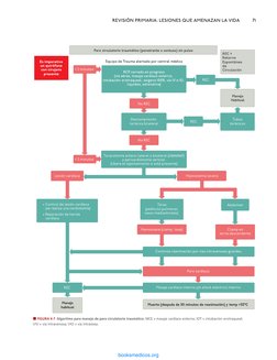 REVISIÓN PRIMARIA: LESIONES QUE AMENAZAN LA VIDA	
71
n FIGURA 4-7  Algoritmo para manejo de paro circulatorio traumático. M