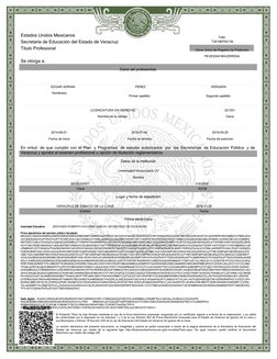 Estados Unidos Mexicanos
Secretaría de Educación del Estado de Veracruz
Título Profesional
Se otorga a:
Datos del profesionis