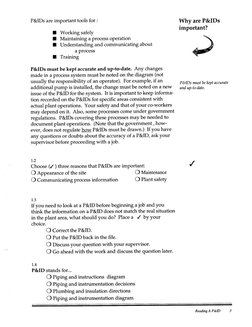 Papid Program Instructions P&ID Complete Training Book PDF | PDF