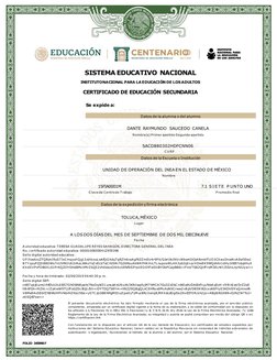 SISTEMA EDUCATIVO NACIONAL
INSTITUTO NACIONAL PARA LA EDUCACIÓN DE LOS ADULTOS
CERTIFICADO DE EDUCACIÓN SECUNDARIA
Se expide