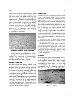 Types of Soils in India: NCERT Class 11 | PDF | Soil | Soil Fertility