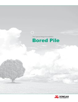 Bored Pile
The Typical Mega Foundation
