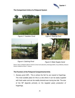 Quarter 1 
 
45 
 
The Compartment Units of a Fishpond System 
 
 
The Function of the Fishpond Compartments/Units 
1. Nurser
