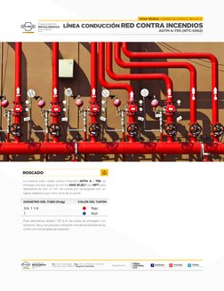 3/4, 1 1/4
1
Rojo
Azul
DIÁMETRO DEL TUBO (Pulg)
COLOR DEL TAPÓN 
La tubería para redes contra incendio ASTM A - 795, se 
entr