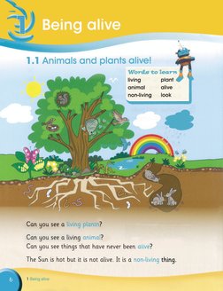Primary 1 Science - Learner Book | PDF