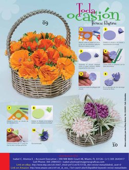 Distribution USA:
Isabel C. Alomia E. • Account Executive • 390 NW 86th Court #8, Miami, FL 33126 • (+1) 305 2643417
Cell Pho