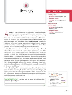 81
U N I T  O U T L I N E
Epithelial Tissue
Activity 1: Examining Epithelial Tissue
Connective Tissue
Activity 2: Chara