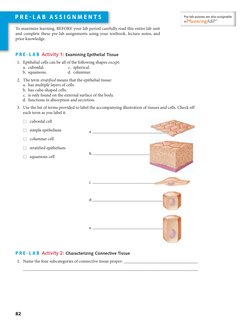 P R E - L A B  A S S I G N M E N T S
To maximize learning, BEFORE your lab period carefully read this entire lab unit 
and co