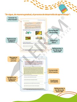 “Se sigue, de manera gradual, el proceso de desarrollo de aprendizaje”:
Conocer la 
información 
Comprender 
situaciones  
Co