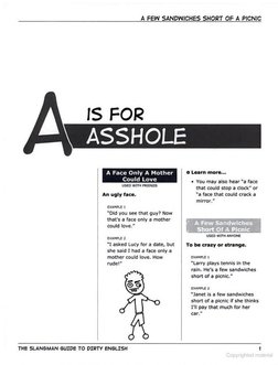 The Slangman Guide To Dirty English - Dangerous Expressions