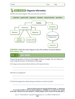 Evolution Study Guide Answer Key - Verona School District | PDF ...