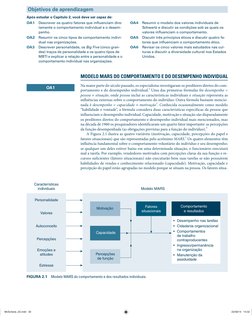 MODELO MARS DO COMPORTAMENTO E DO DESEMPENHO INDIVIDUAL
Na maior parte do século passado, os especialistas investigaram os pr
