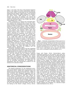 G Point Clinical Anatomy of The G-Spot: Review | PDF | Clitoris | Orgasm
