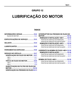 GRUPO 12
LUBRIFICAÇÃO DO MOTOR
12-1
ÍNDICE
INFORMAÇÕES GERAIS ...........................12-2
ÓLEOS DO MOTOR ................