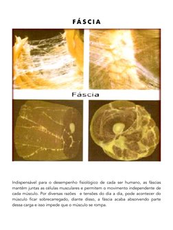 F Á S C I A  
 
Indispensável para o desempenho fisiológico de cada ser humano, as fáscias 
mantêm juntas as células muscular