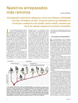 Orígenes de la humanidad y homínidos | PDF | Evolución humana | Mono