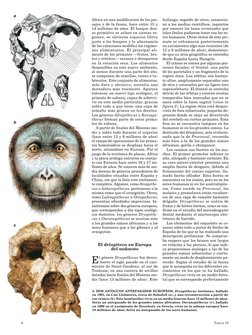 Orígenes de la humanidad y homínidos | PDF | Evolución humana | Mono