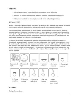 OBJETIVO
Diferenciar entre dientes temporales y dientes permanentes en una radiografía
• 
Identificar los estadios de desarro