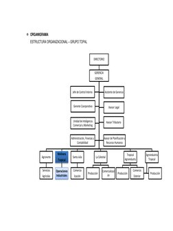  ORGANIGRAMA 
ESTRUCTURA ORGANIZACIONAL – GRUPO TOPAL 
 
 
 
DIRECTORIO
GERENCIA 
GENERAL 
Agronorte
Servicios 
Agrícolas
Mo