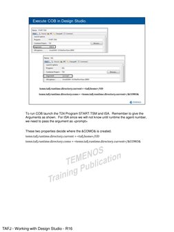 TAFJ Design Studio User Guide R16 | PDF | Command Line Interface ...
