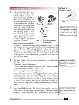 HOME SCIENCE
MODULE - 2
Foods and Nutrition
Notes
 119
Purchase and Storage of Food
1.
Micro Organisms: Do you re-
member the