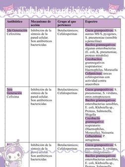 Antibiótico 
Mecanismo de 
acción
Grupo al que 
pertenece
Espectro
2da Generación 
Cefoxitina
Inhibición de la 
síntesis de l