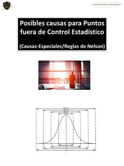Posibles causas para Puntos 
fuera de Control Estadístico
(Causas-Especiales/Reglas de Nelson)
