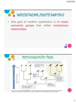 Subclass Systematics Introduction to Systematics in Biology | PDF | Taxonomy (Biology) | Species