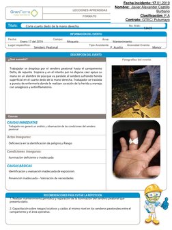 Corte cuarto dedo de la mano derecha.
Enero 17 del 2019
Moqueta
Mantenimiento
Sendero Peatonal
Trabajador se desplaza por el