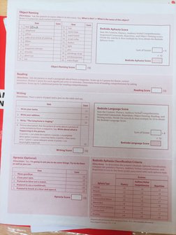 (WAB) Western Aphasia Battery - Bedside Record Form | PDF
