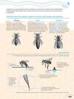 Adaptado de Ministerio de Educación. (2017).  Comunicación 5. Cuaderno de trabajo. Primaria. Lima, Perú.
159
La picadura
Obre