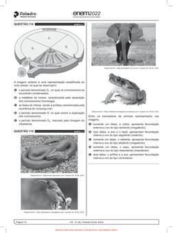 Página 10
CN - 2o dia | Poliedro Enem Extra
Exame Nacional do Ensino Médio
QUESTÃO 114 		
enem2022
INTERFASE
M
Citocinese
Tel
