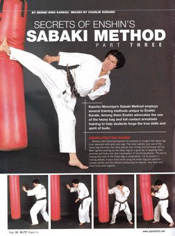 Enshin Karate Training Techniques | PDF | Combat Sports