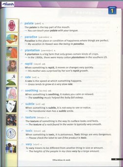 palate [paelit] n.
The palate is the top part of the mouth.
-> You can touch your palate with your tongue.
c  paradise [psere